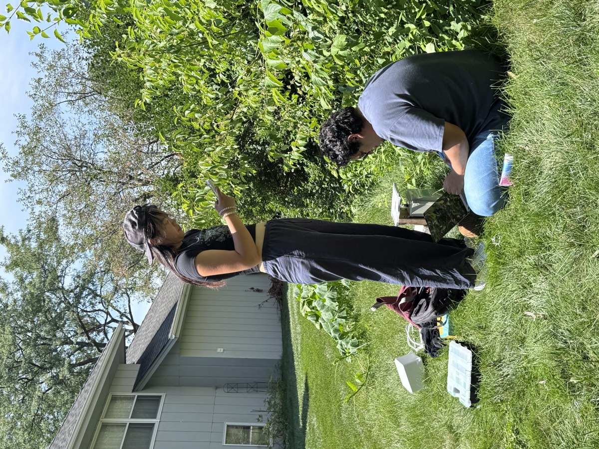 Setting up a bird monitoring station in the field